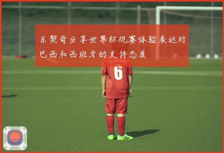东契奇分享世界杯观赛体验表达对巴西和西班牙的支持态度