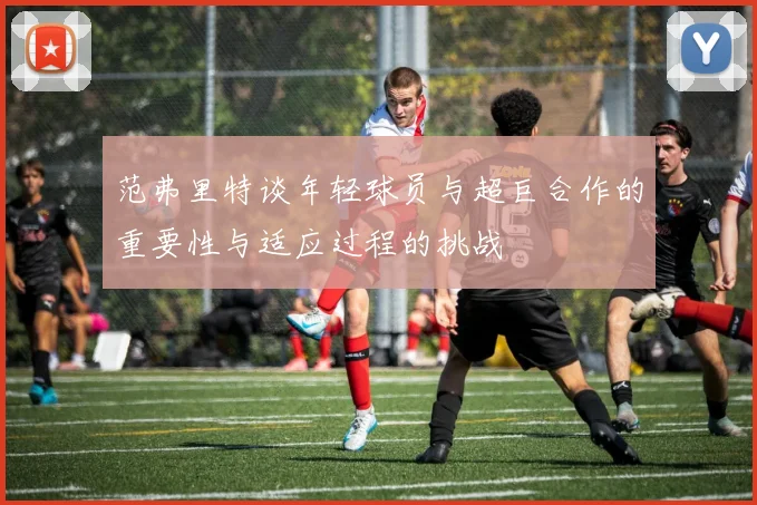 范弗里特谈年轻球员与超巨合作的重要性与适应过程的挑战